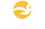 logo presidente site